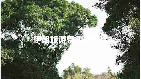 伊朗旅游帶頭巾圖片