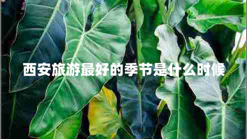 西安旅游最好的季節(jié)是什么時候 西安旅游最好的季節(jié)是什么時候