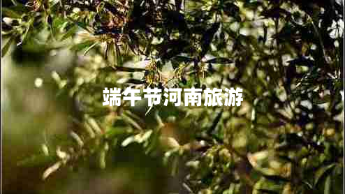 端午節(jié)河南旅游