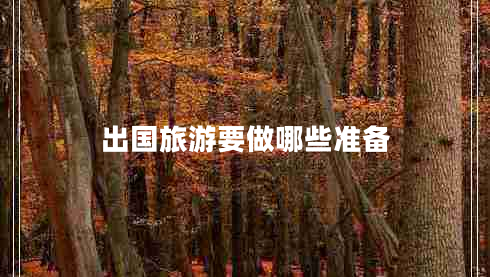 出國旅游要做哪些準(zhǔn)備 出國旅游要做哪些準(zhǔn)備
