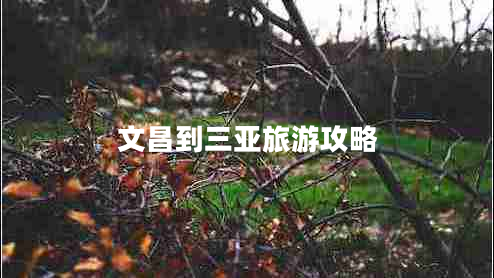文昌到三亞旅游攻略
