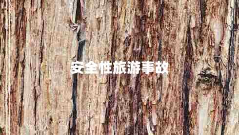 安全性旅游事故 安全性旅游事故
