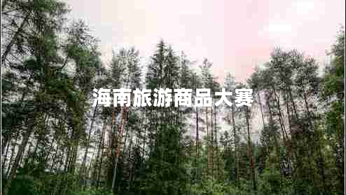 海南旅游商品大賽