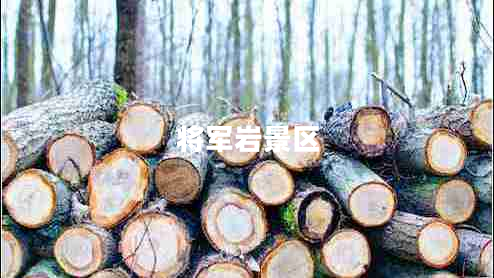 將軍巖景區(qū) 將軍巖景區(qū)