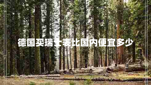 德國買瑞士表比國內(nèi)便宜多少 德國買瑞士表比國內(nèi)便宜多少