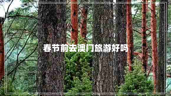 春節(jié)前去澳門(mén)旅游好嗎