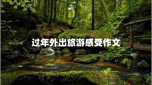 過年外出旅游感受作文