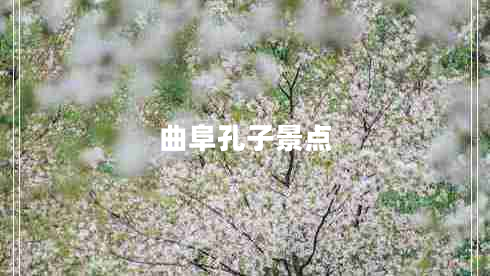 曲阜孔子景點 曲阜孔子景點