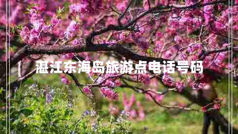 湛江東海島旅游點(diǎn)電話號碼 湛江東海島旅游點(diǎn)電話號碼