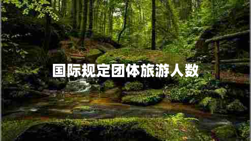 國際規(guī)定團體旅游人數(shù) 國際規(guī)定團體旅游人數(shù)