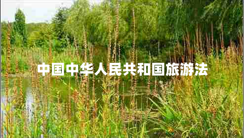 中國中華人民共和國旅游法