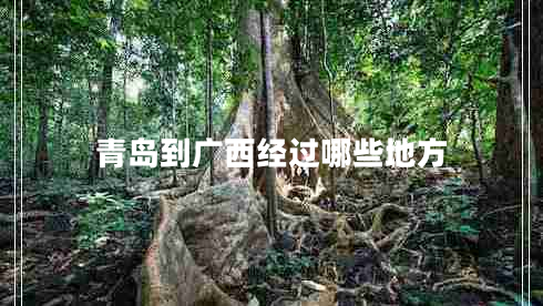 青島到廣西經(jīng)過(guò)哪些地方 青島到廣西經(jīng)過(guò)哪些地方