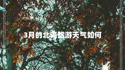 3月的北海旅游天氣如何 3月的北海旅游天氣如何