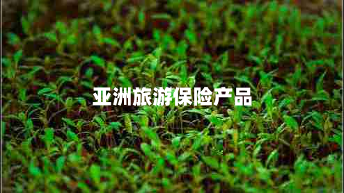 亞洲旅游保險產(chǎn)品