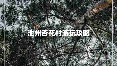 池州杏花村游玩攻略 池州杏花村游玩攻略