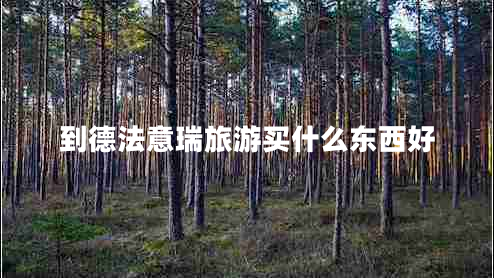 到德法意瑞旅游買什么東西好