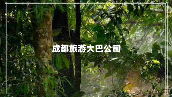 成都旅游大巴公司