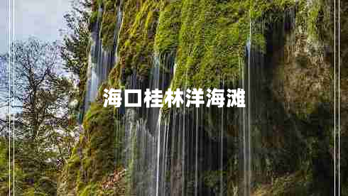 ?？诠鹆盅蠛? title=