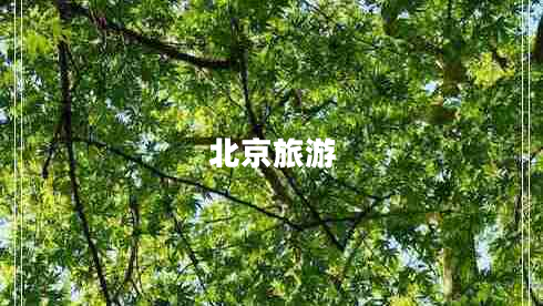 北京旅游 北京旅游