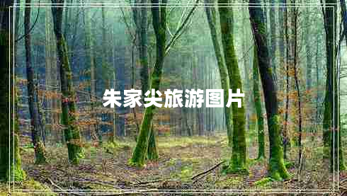 朱家尖旅游圖片 朱家尖旅游圖片