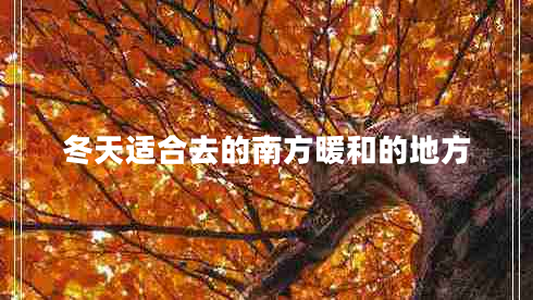 冬天適合去的南方暖和的地方 冬天適合去的南方暖和的地方