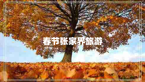 春節(jié)張家界旅游