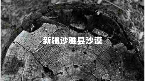 新疆沙雅縣沙漠 新疆沙雅縣沙漠