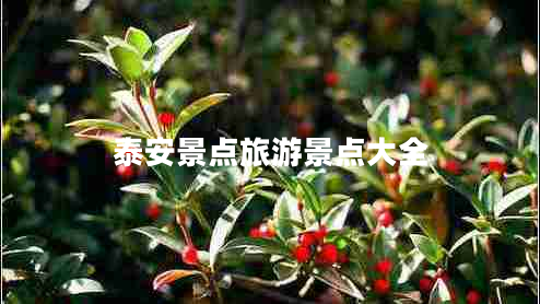 泰安景點(diǎn)旅游景點(diǎn)大全