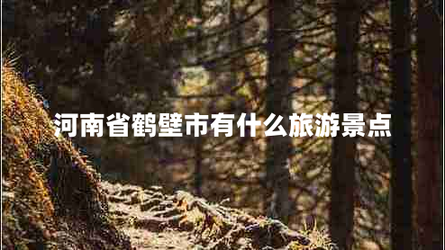 河南省鶴壁市有什么旅游景點(diǎn) 河南省鶴壁市有什么旅游景點(diǎn)