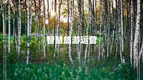 智慧旅游運(yùn)營 智慧旅游運(yùn)營