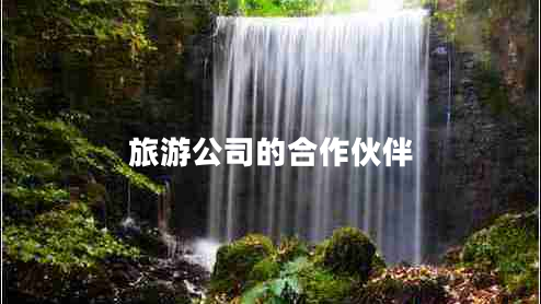 旅游公司的合作伙伴 旅游公司的合作伙伴