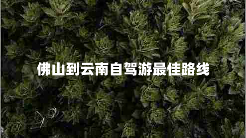 佛山到云南自駕游最佳路線 佛山到云南自駕游最佳路線