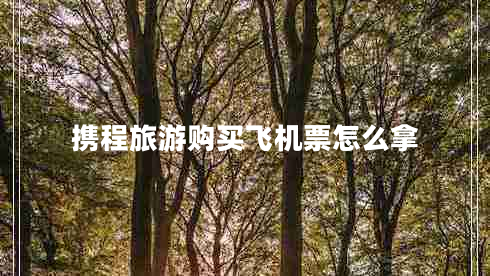 攜程旅游購買飛機票怎么拿 攜程旅游購買飛機票怎么拿