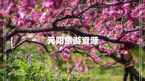 元陽(yáng)旅游資源 元陽(yáng)旅游資源