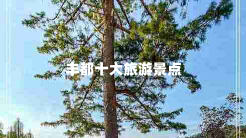 豐都十大旅游景點 豐都十大旅游景點