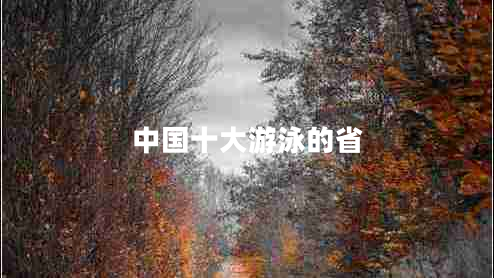 中國十大游泳的省