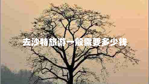 去沙特旅游一般需要多少錢