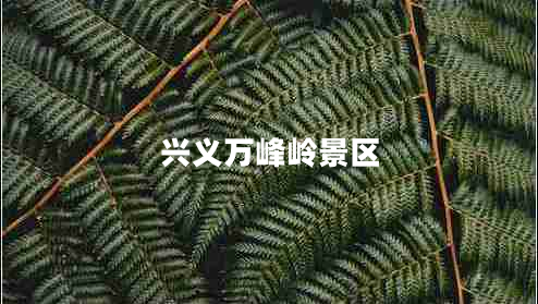 興義萬(wàn)峰嶺景區(qū)