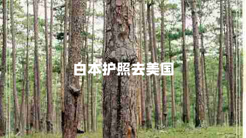 白本護(hù)照去美國(guó) 白本護(hù)照去美國(guó)