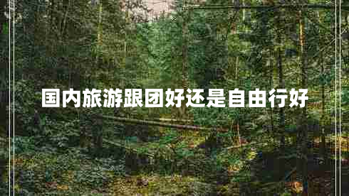 國內(nèi)旅游跟團好還是自由行好 國內(nèi)旅游跟團好還是自由行好
