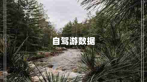 自駕游數(shù)據(jù) 自駕游數(shù)據(jù)