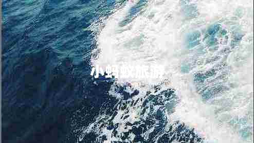 小螞蟻旅游
