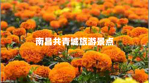 南昌共青城旅游景點(diǎn)