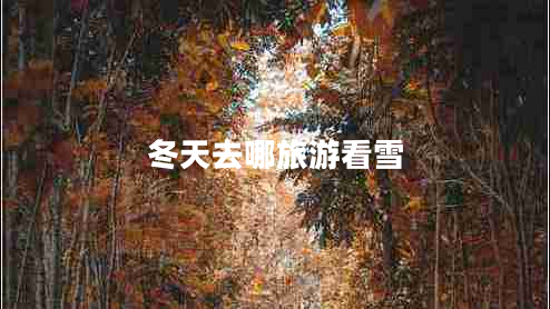 冬天去哪旅游看雪