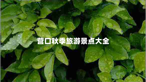 營口秋季旅游景點(diǎn)大全 營口秋季旅游景點(diǎn)大全