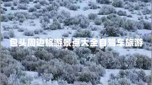包頭周邊旅游景點(diǎn)大全自駕車旅游