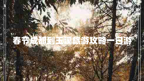 春節(jié)成都到玉溪旅游攻略一日游 春節(jié)成都到玉溪旅游攻略一日游