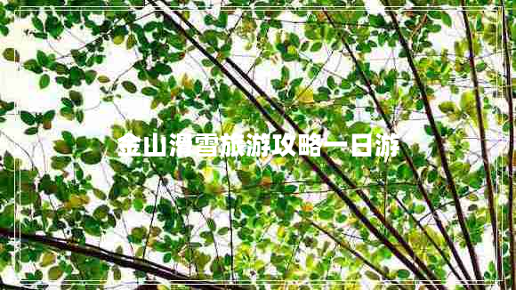 金山滑雪旅游攻略一日游 金山滑雪旅游攻略一日游