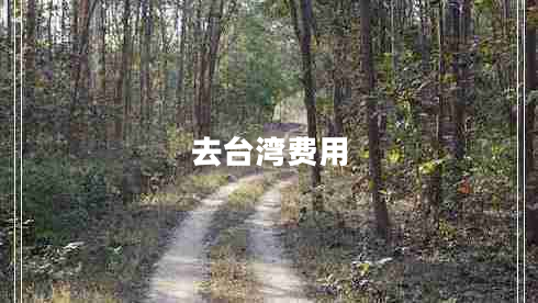 去臺灣費用 去臺灣費用