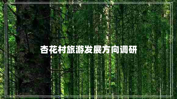 杏花村旅游發(fā)展方向調(diào)研